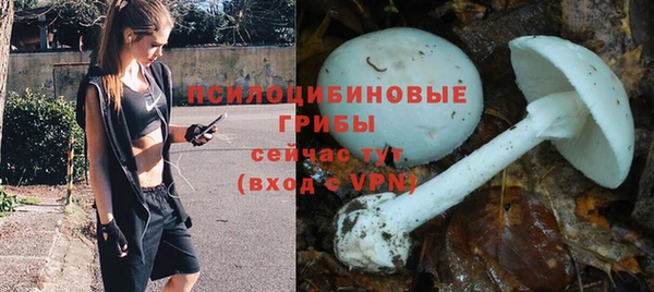 ALPHA-PVP Нягань
