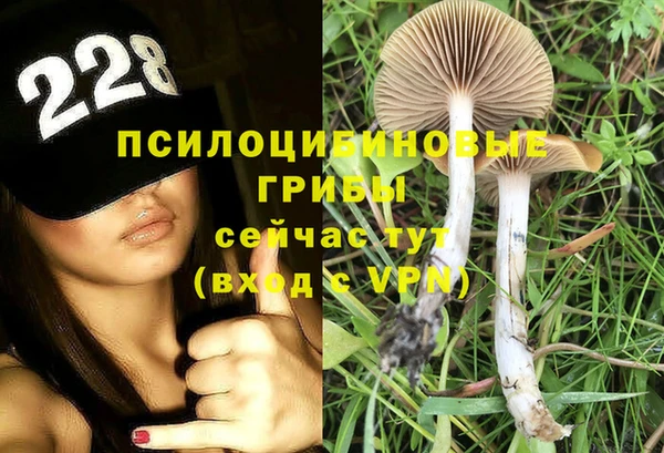 тгк Няндома