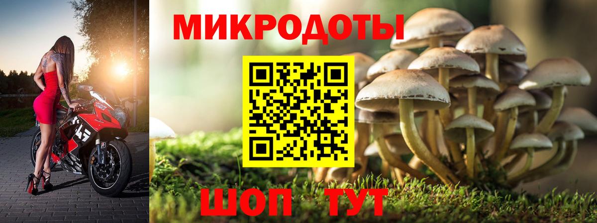 Псилоцибиновые грибы MAGIC MUSHROOMS Бугуруслан