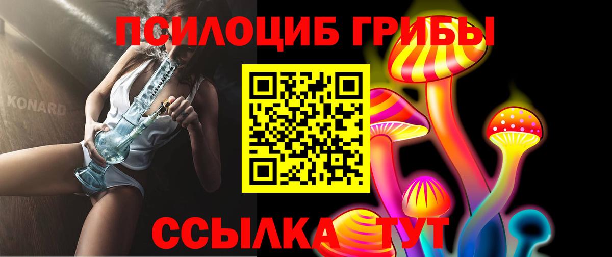 Псилоцибиновые грибы GOLDEN TEACHER  Галлюциногенные грибы Cubensis  Вход с VPN  где купить   Бугуруслан 
